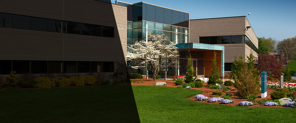 Hastings Landscapers