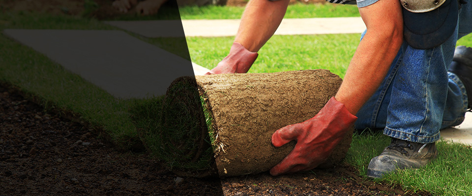 Hastings Landscapers